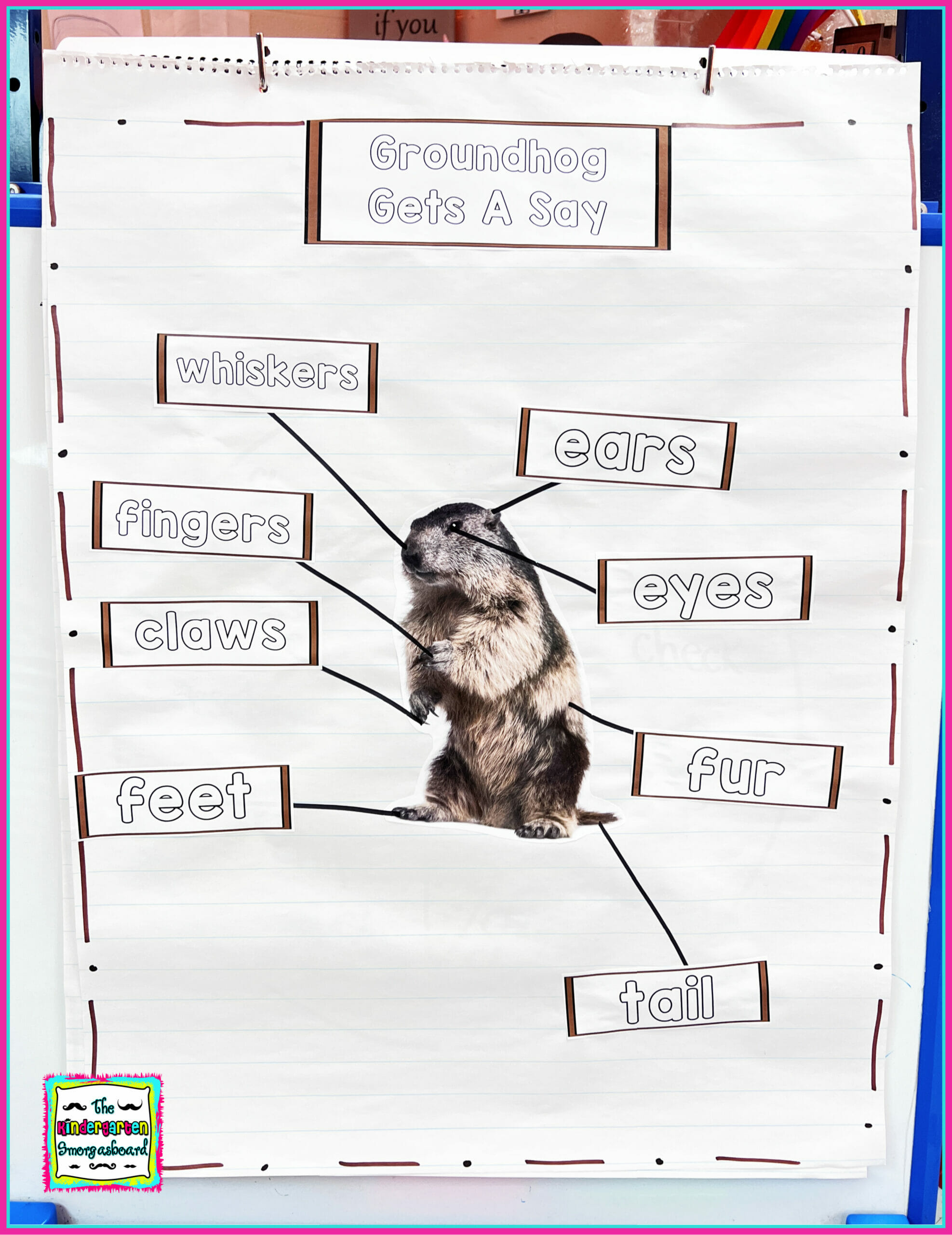 groundhog day science