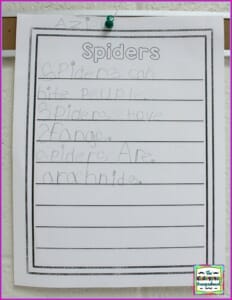 spider writing