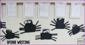 spider-writing-3