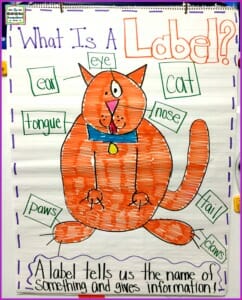 what-is-a-label-anchor-chart