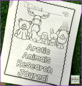arctic animals