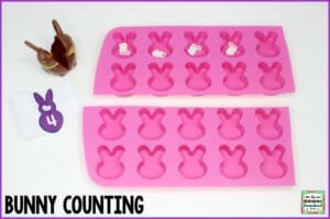 bunny counting