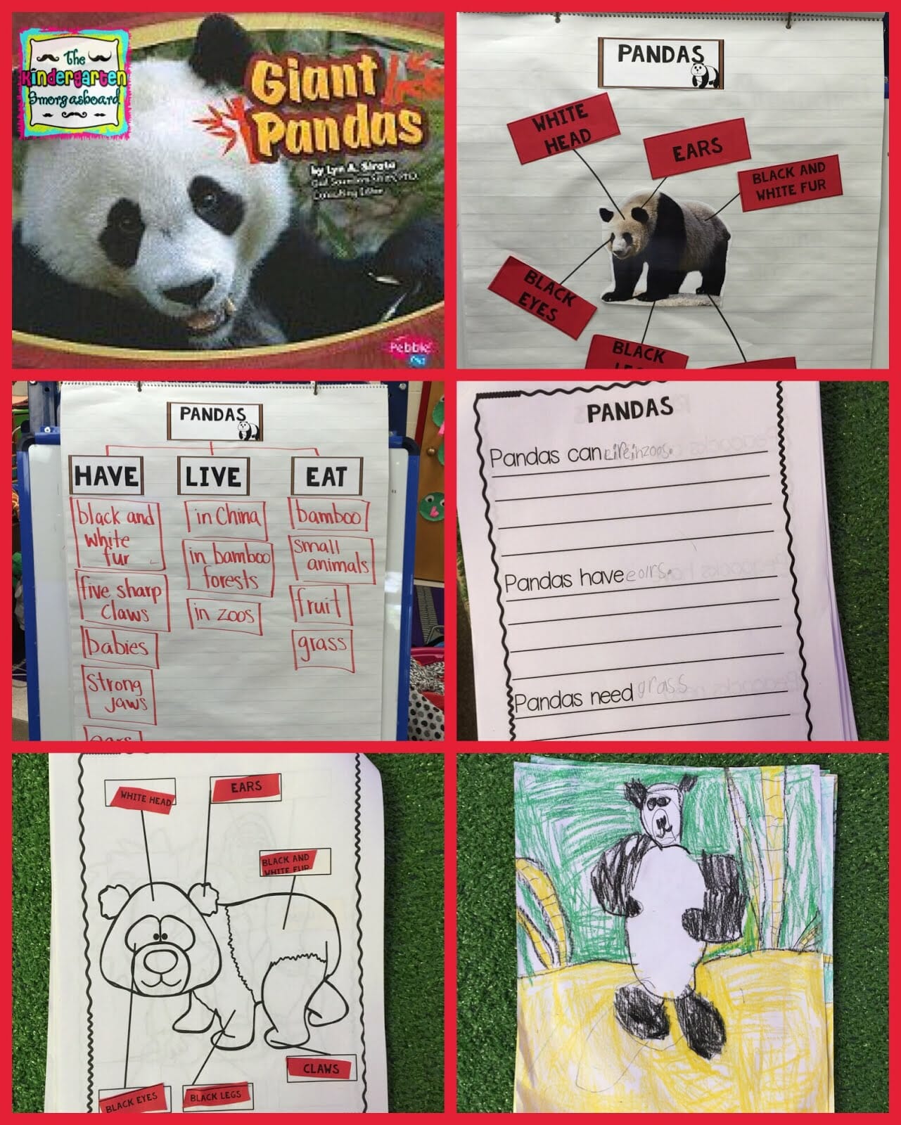 Zoo Animals and Place Value Schedulin’ Sunday The Kindergarten