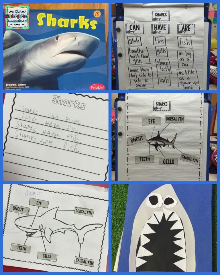 Shark Week FREEBIES! – The Kindergarten Smorgasboard