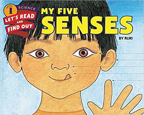 five senses lessons