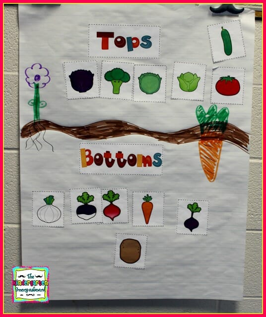 kindergarten tops and bottoms lesson plans