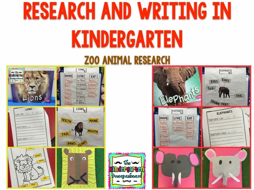 zoo theme kindergarten
