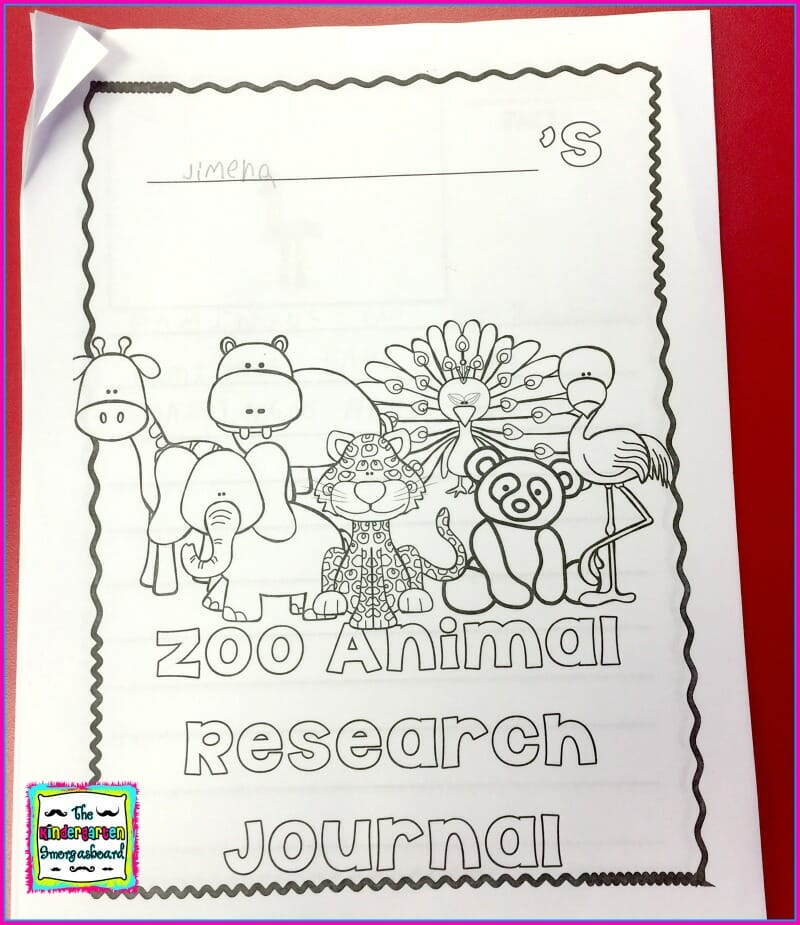kindergarten zoo animals