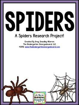 spiders lesson plans