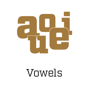 Vowels Bootcamp