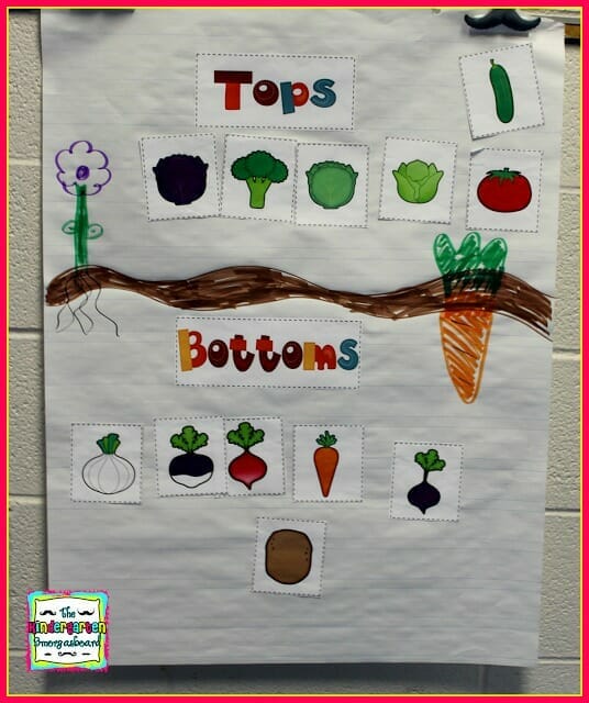 tops and bottoms book activities