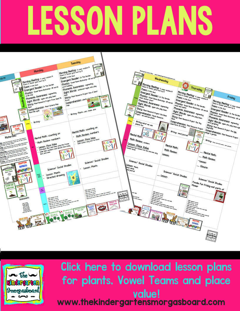 Plants: Schedulin Sunday | The Kindergarten Smorgasboard