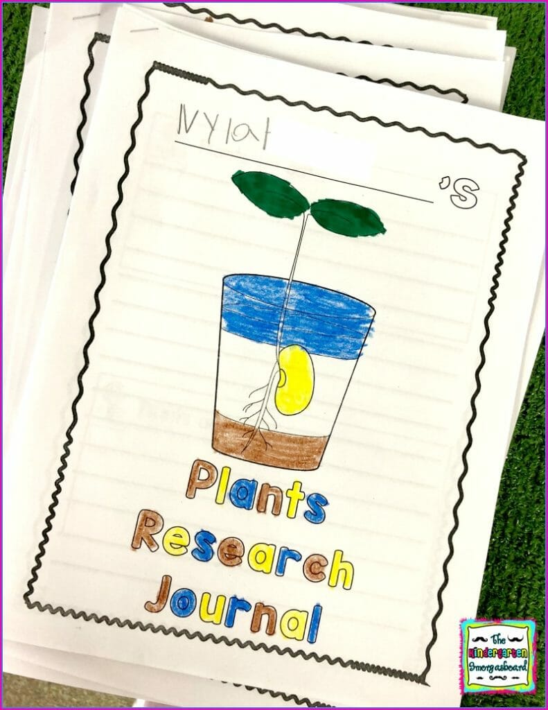 plants