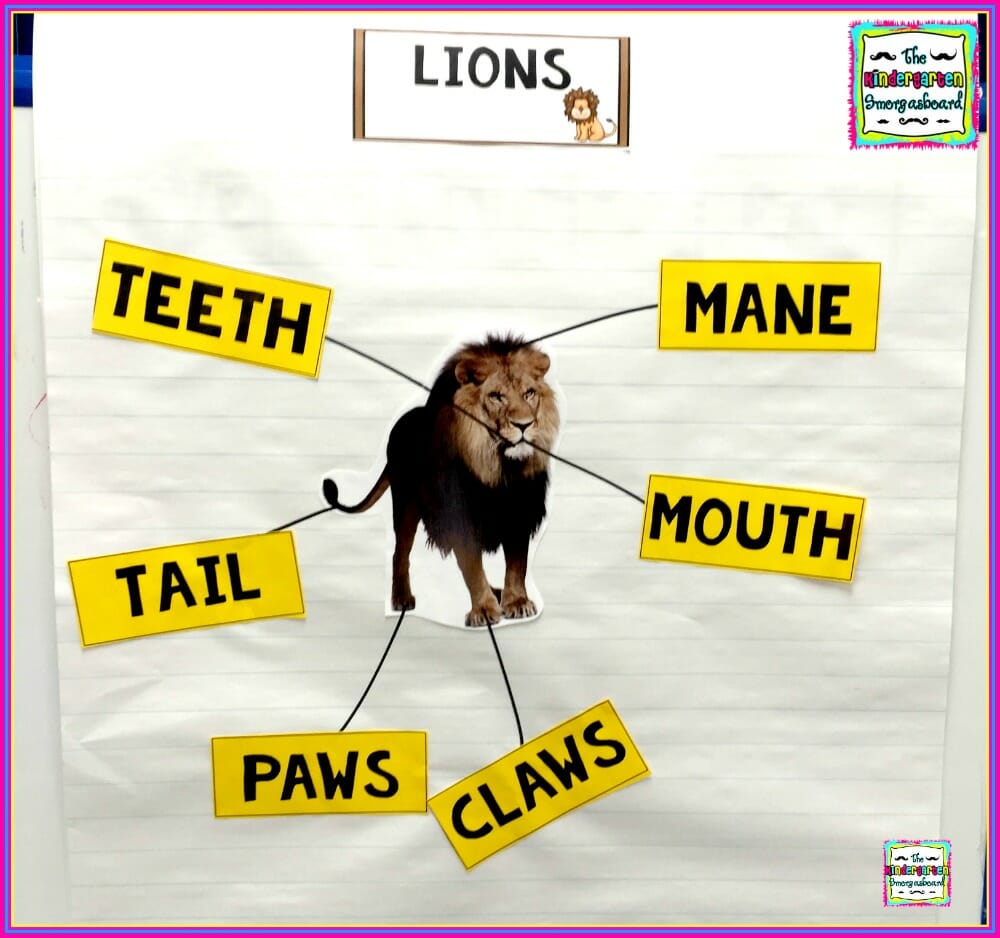 zoo animals activities – The Kindergarten Smorgasboard