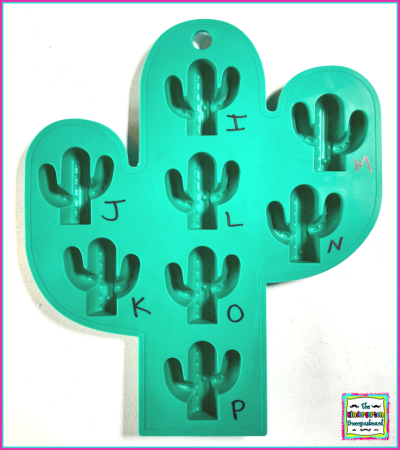 cactus classroom ideas