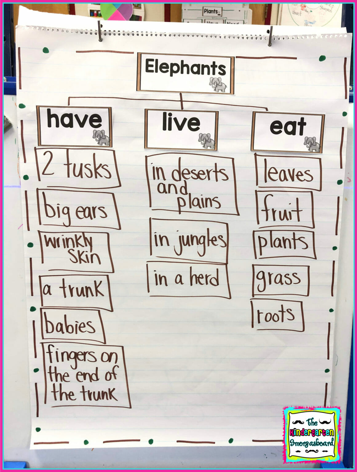 Schedulin Sunday: Animals And Making 10 – The Kindergarten Smorgasboard