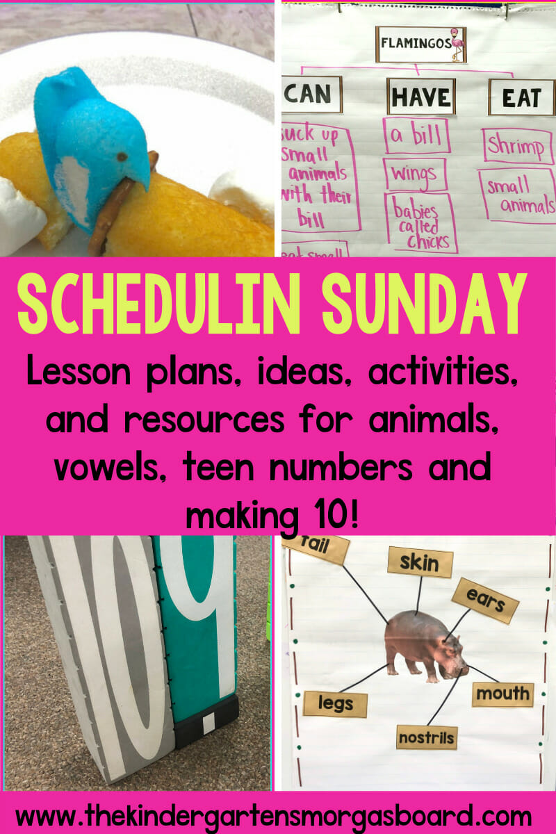 Zoo Animals 2