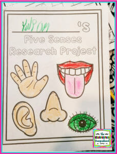 Schedulin Sunday: Five Senses, Counting, And Germs – The Kindergarten 