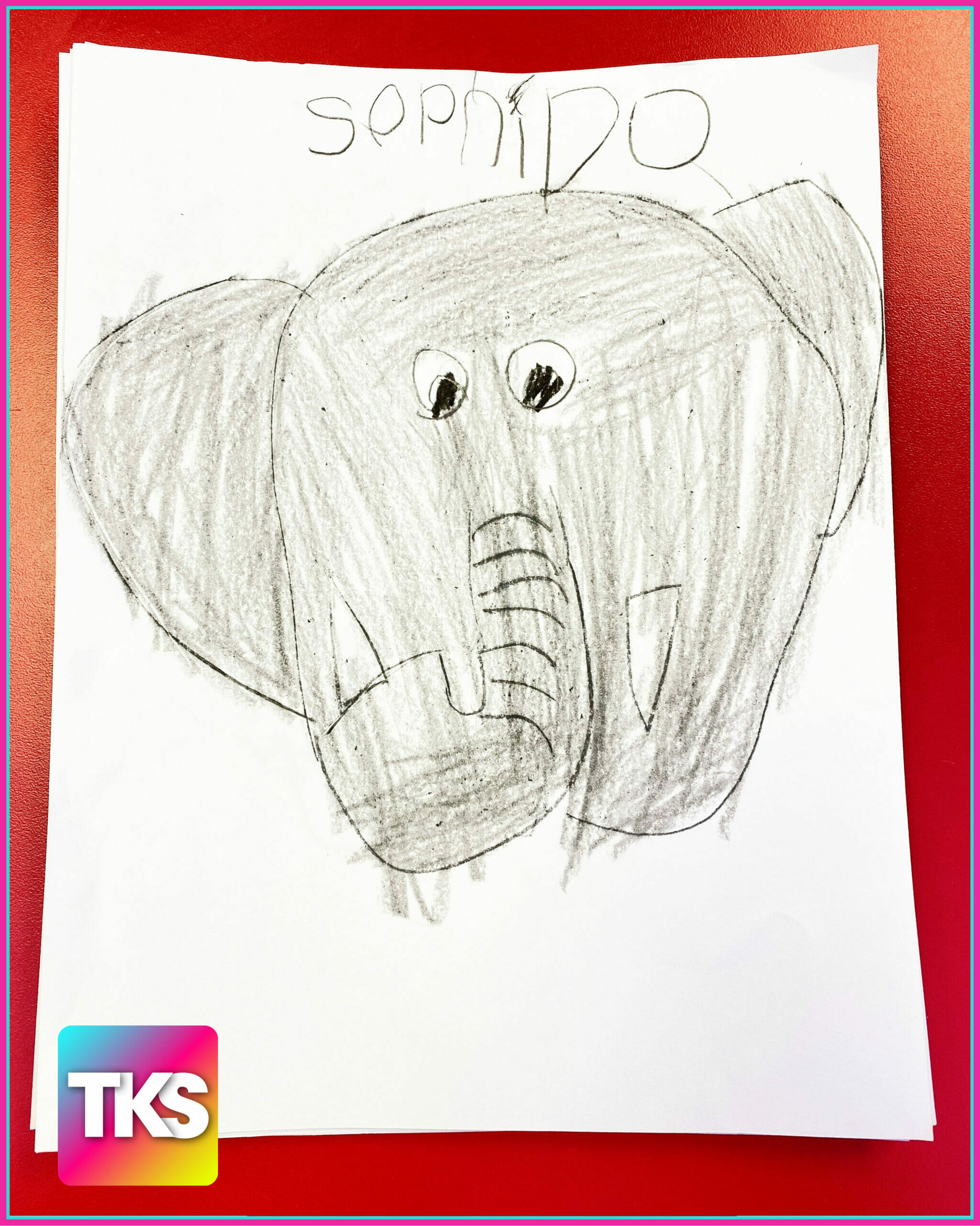 zooanimallessonplansforkids The Kindergarten