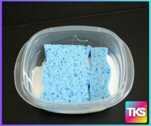 Glue Sponges How To Video  The Kindergarten Smorgasboard