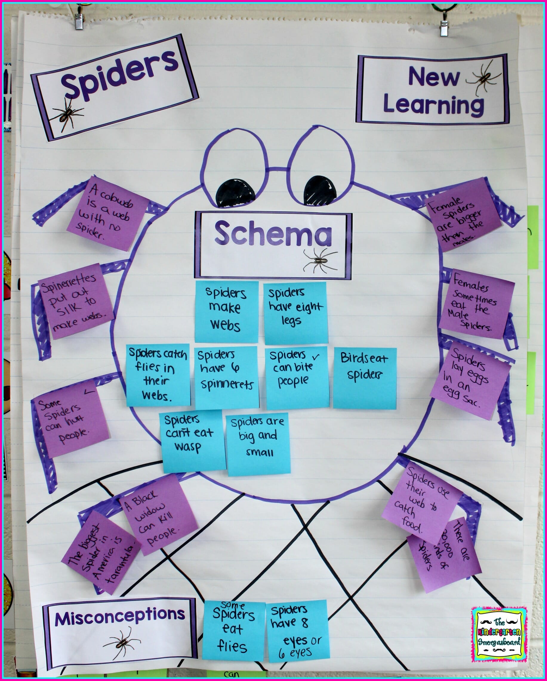 finished-schema-map – The Kindergarten Smorgasboard