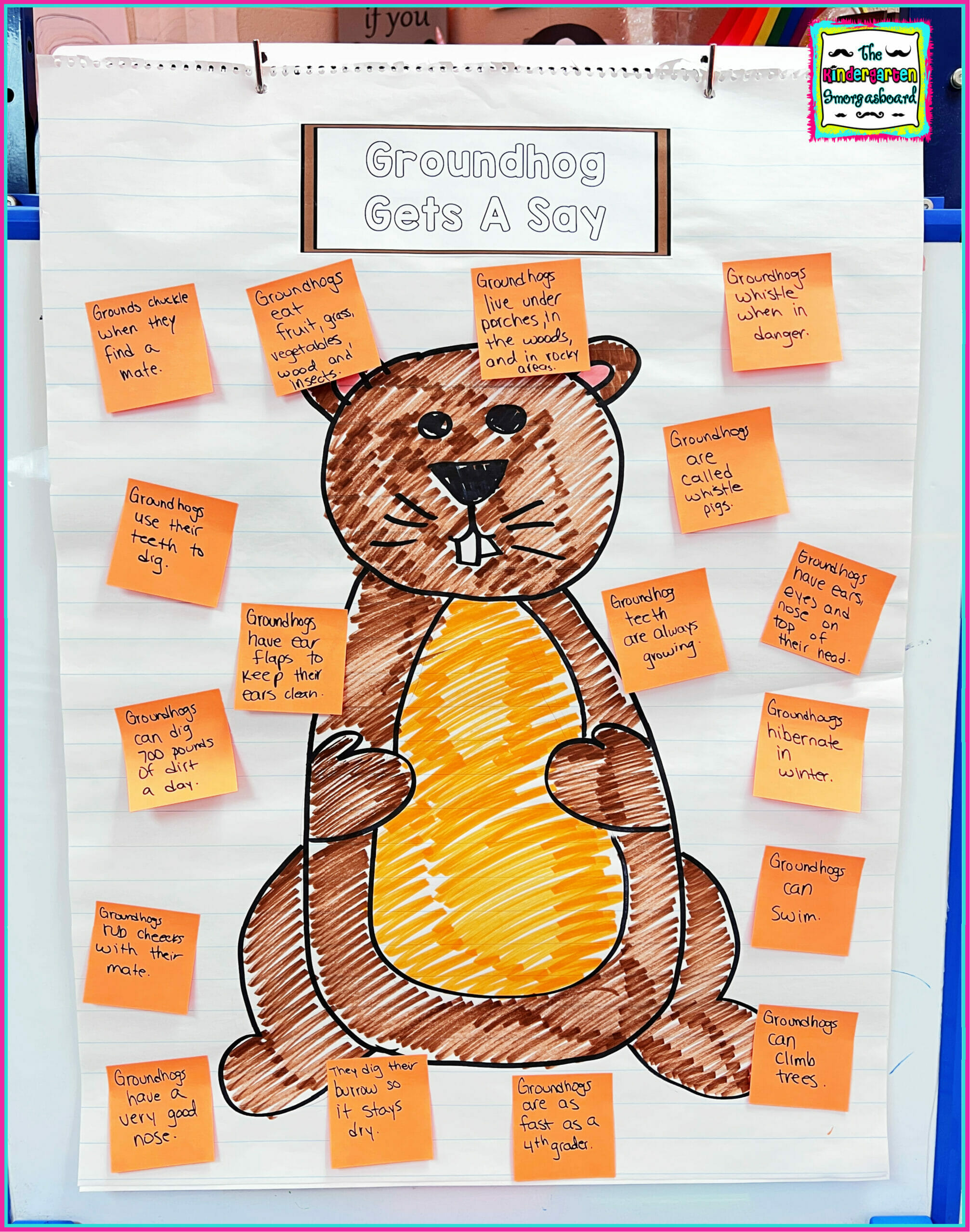 groundhog-day-ideas-for-kids-scaled – The Kindergarten Smorgasboard