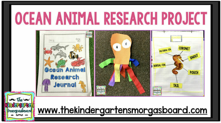 Unicorn Subitizing Videos The Kindergarten Smorgasboard