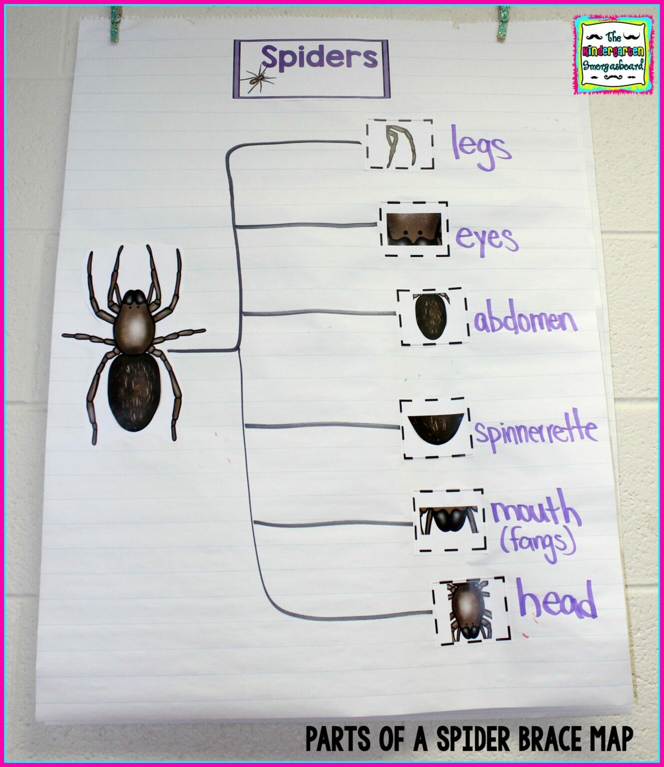 parts-of-a-spider-brace-map – The Kindergarten Smorgasboard