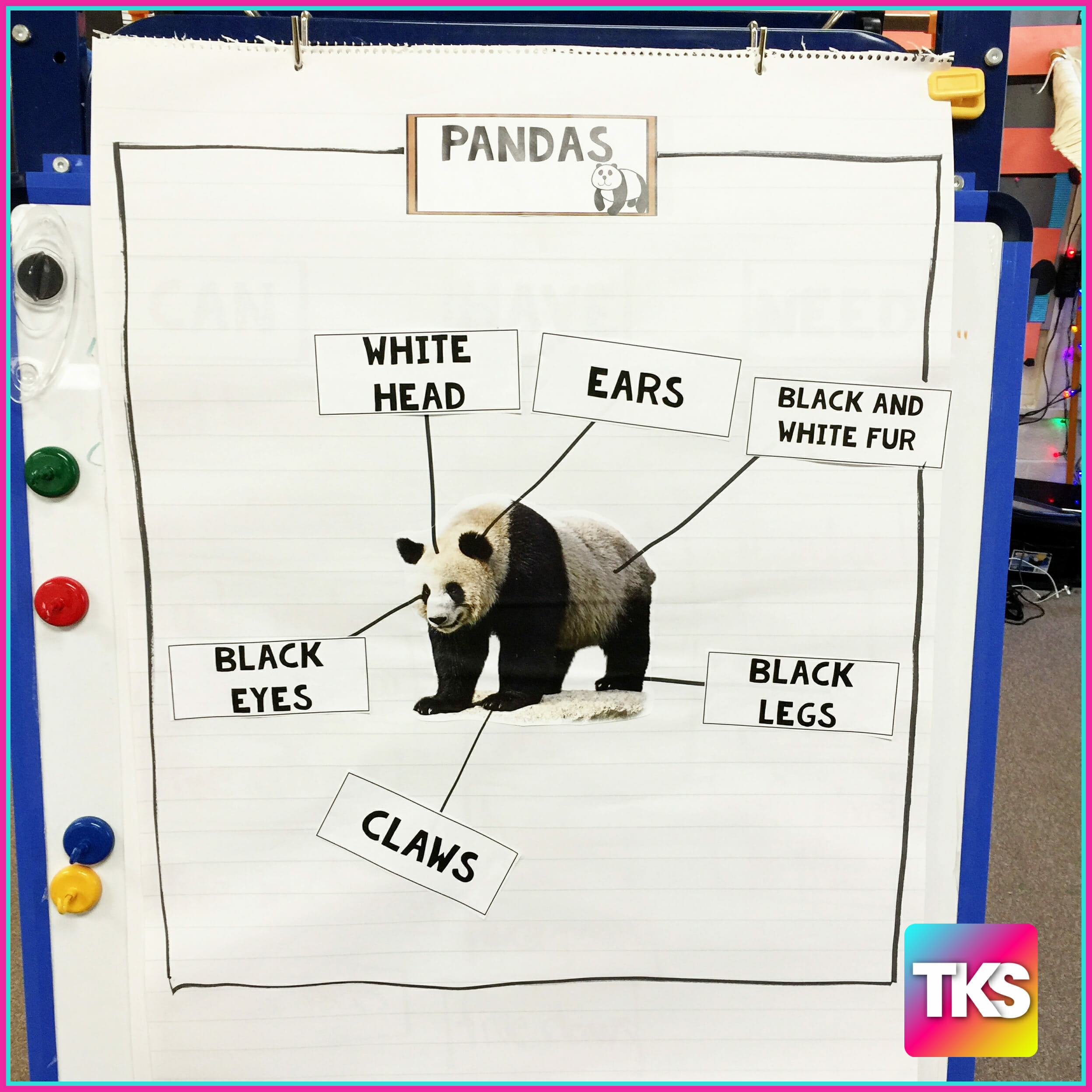 Vocabulary lessons for kids The Kindergarten Smorgasboard Vocabulary lessons for kids the kindergarten smorgasboard